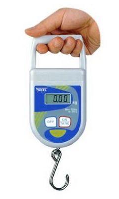 数显式吊秤